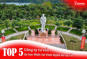anh dai dien web