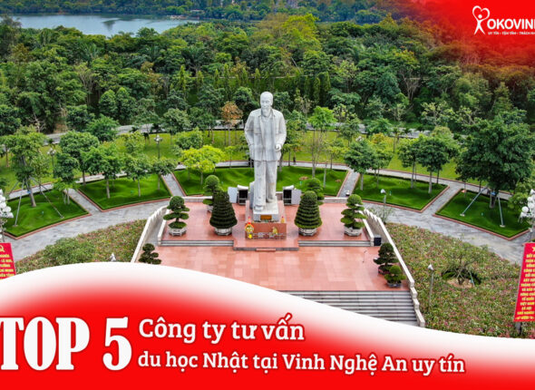 anh dai dien web