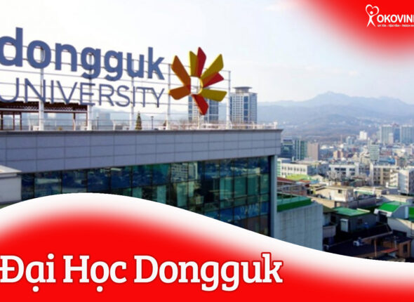 anh dai dien web
